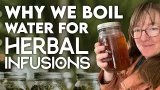 Does Boiled Water Destroy Nutrients in Herbal Infusions?