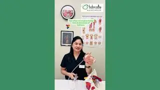 What is Rectal Balloon Training?