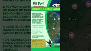 t&aacute;xi pet Jo&atilde;o Luiz 85- 987246410