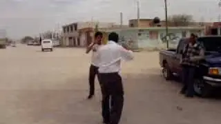 shAgy vS ekOlOcO