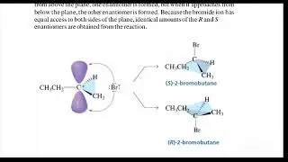 الفرق بين Regioselective و Stereoselective و Stereospecific بطريقة بسيطة | كيمياء عضوية