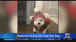 National Dress Up Your Pet Day