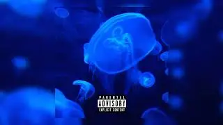 Xaos ft. Real Cash - Ardına Bakma (Official Audio Video)
