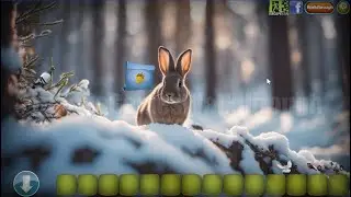 Winter Forest Mystery Walkthrough [EscapeFan]