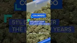 Why pot farmers are going up in smoke