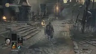 Letting 1st time PlayStation players have a crack at DSlll no experience whatsoever