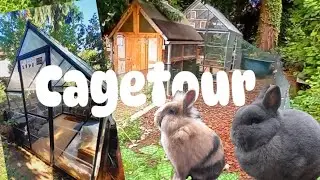CAGETOUR - mein artgerechtes Kaninchengehege 🐇♥️ @Schnuppernasen- @Schlappohrbandekaninchen