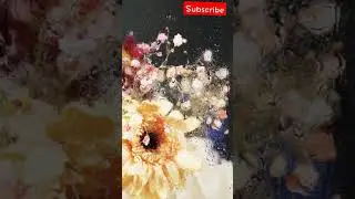 NATURE FLOWERS 🌺 NATURE WORLD91 YOU NATURE   FALLS YOU 🌿🎵 NATURE SHORTS 🩳