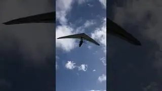 Raven Therapy #aladelta #hanggliding