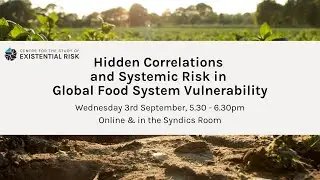 Hidden Correlations and Systemic Risk in Global Food System Vulnerability