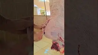Mashallah Baladi cow Neck meat cutting skills #shorts #viralvideo