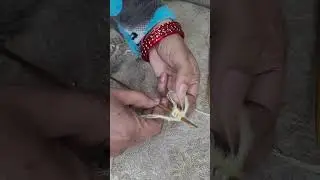Как начать вязать, набор петель