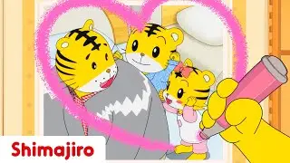 Happy Father's Day! Special episode celebrating all dads! - Shimajiro