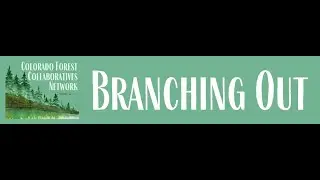 Branching Out: USFS State, Private, & Tribal Forestry: Who they are, what they do, & opportunities
