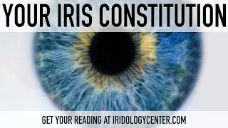 Importance of Body Constitution - Medium Constitution