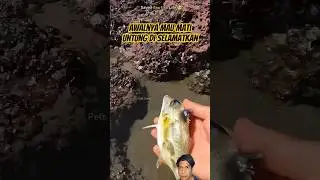 RESCUE IKAN SIAL #faktaunik #ikan #shortvideo