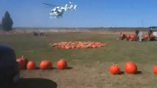 Helicopter lands at Assiter Punkin Ranch