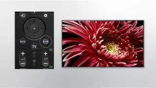 Troubleshoot YouTube app error on Sony's Android TVs