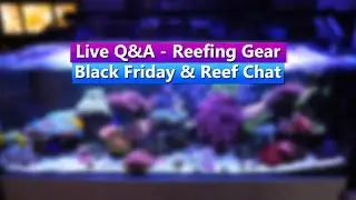 Live Q&A - Reefing Gear -Black Friday & Reef Chat