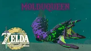 Molduking, but his wife is now in charge | TOTK CM - Molduqueen