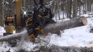 PONSSE H7HD*CAT317