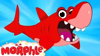 My Pet Shark - My Magic Pet Morphle