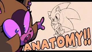 HOW TO DRAW SONIC CHARACTERS || ANATOMY