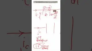 Phase difference|Physics|Set1|2024-346(FS)|UP Board & CBSE Board|26Jan2026| #science