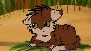 Crookedkit :(