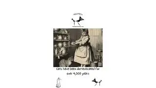 Cat Mysteries Unveiled! 🙀 Feline Facts from Henley Hallows
