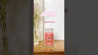 Introducing the Yankee Candle Signature range 😍#shorts #yankeecandle #signaturecollection
