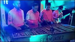 Marimba Orquesta Los Hermanos Fernandez Marimba Pura Mix Bailables