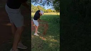 That recovery had too much ambition.#golf #recoveryshot #pitchingwedge#approachshot #shortgame