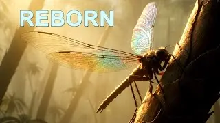 Journey to the Carboniferous | Earth's Giant Insect Era (4K Cinematic Documentary)