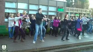 Gangnam SCD Style