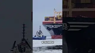 Как морские буксиры спасают навигацию? #море #логистика #грузоперевозки