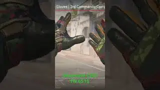 Moto Gloves | 3rd Commando Company in Counter Strike 2 🔫🔥#cs2 #counterstrike #counterstrike2 #csgo