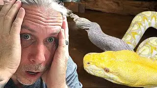 MY 19 FOOT SNAKE IS STUCK IN SHED!! NOW WHAT?? | BRIAN BARCZYK