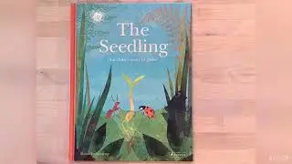 The Seedling that didn&rsquo;t want to grow by Britta Teckentrup