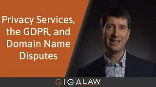 Domain Dispute Masterclass (#10): Privacy Services, the GDPR, and Domain Name Disputes