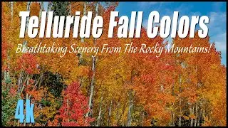 Vibrant Fall Colors In Telluride Colorado October 2021