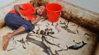 Aquarium Fish Tank Cleaning Hacks | Amazing Colourful Fish Tank Cleaning Process 4K Ultra HD Video 
