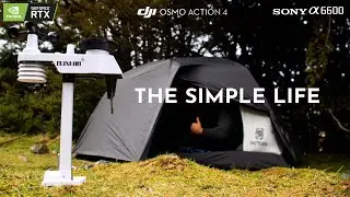 Living Out of my Car in New Zealand | Camping in Rain and Snow