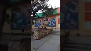 Стрит сила💪