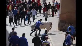 VII TORO de CARNAVAL | TOROS de CAJON | MEDINA DE RIOSECO | CANTALAPIEDRA | 05/03/2022