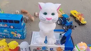 Toy collection animal toys Rc helicopter Tomcat crocodile Elephant music toys