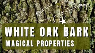 White Oak Bark Magical Properties