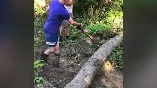 Metal Detecting with WD7