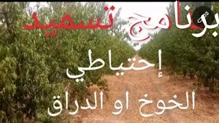 برنامج تسميد إحتياظي قبل السبات.أشجار الخوخ أو الدراق