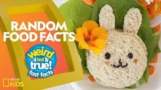 Random Food Facts | Weird But True!&mdash;Fast Facts
